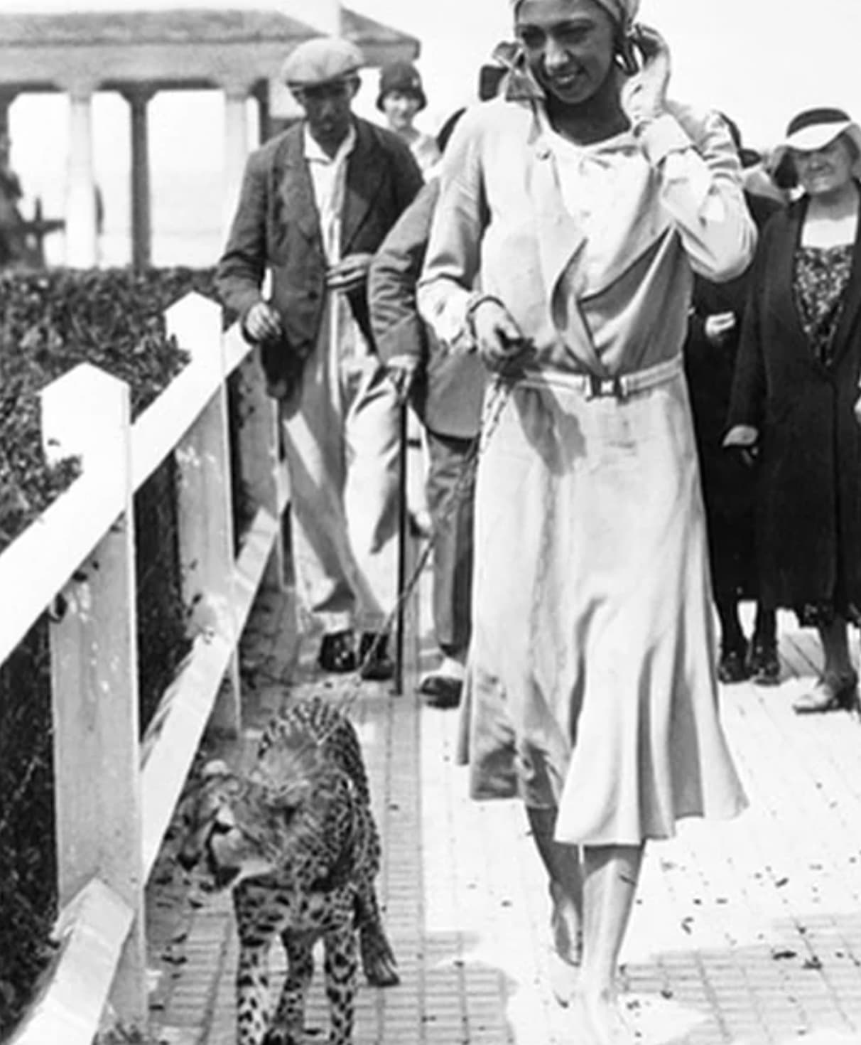 josephine baker with her pets